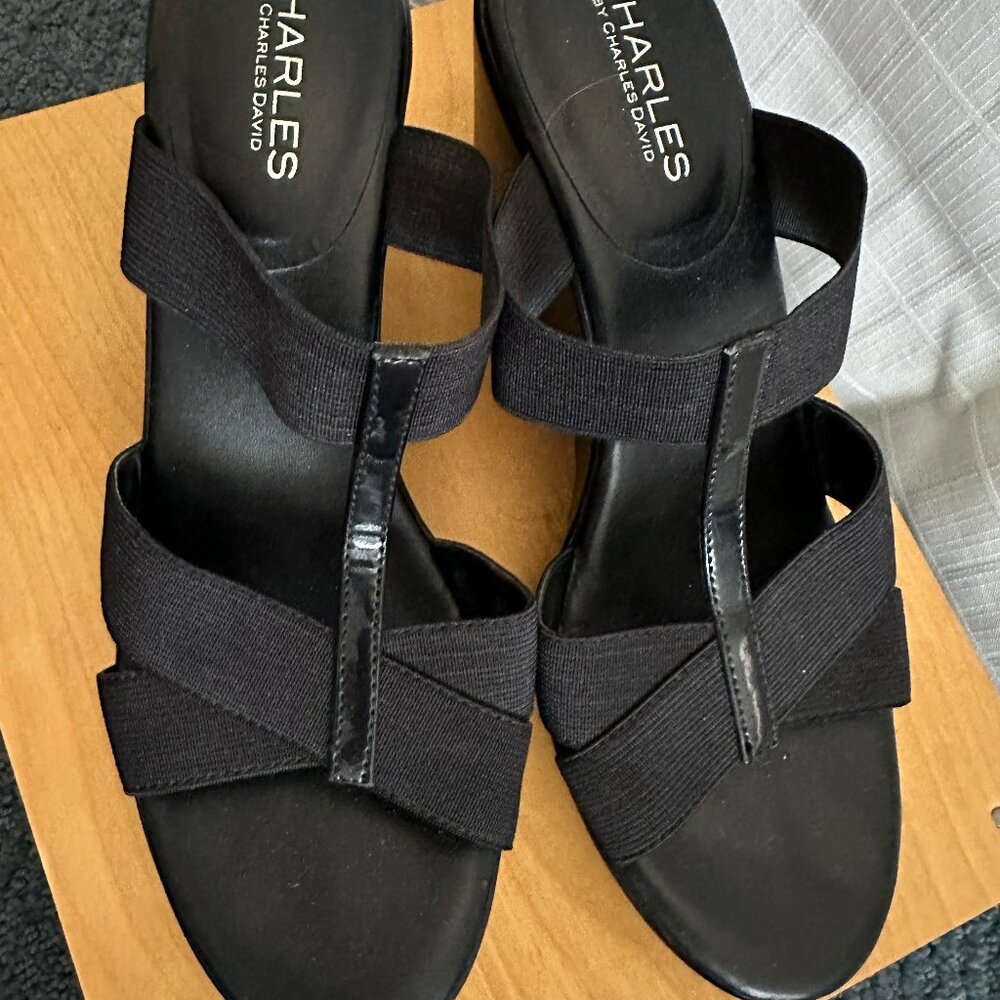 Charles David 3.0 Inch Black Wedge heel sandal